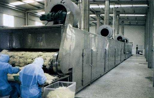 ��ʽ����C1